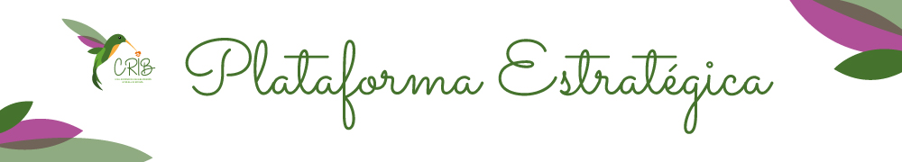 DISEÑOS WEB CRIB plataforma estrategica