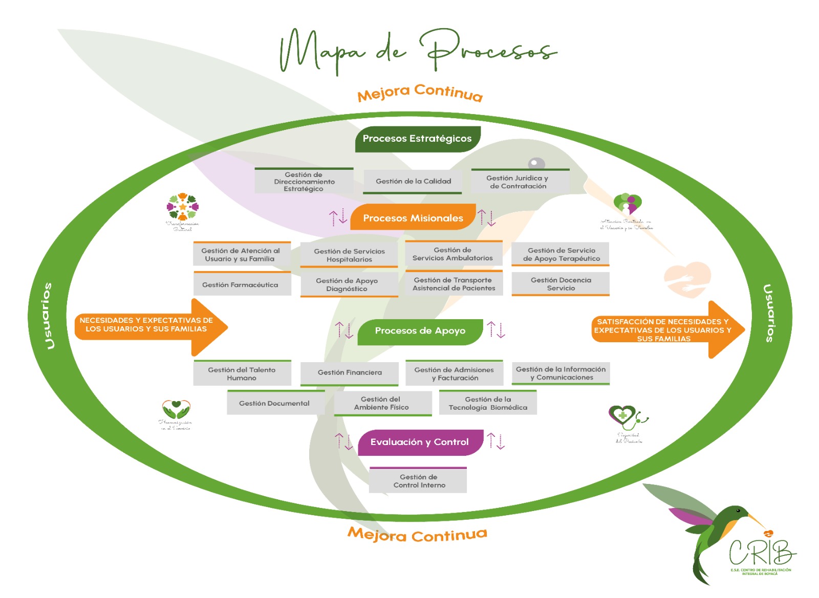 MAPA PROCESOS 2024